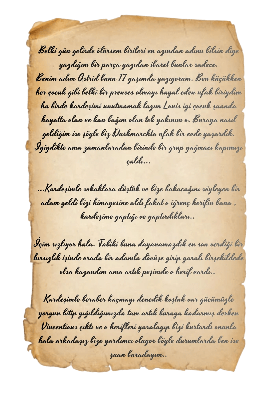 Belki gün gelirde biriler (2)-Photoroom (1).png