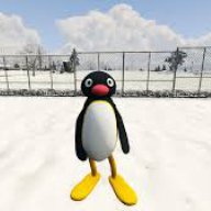 Pingu